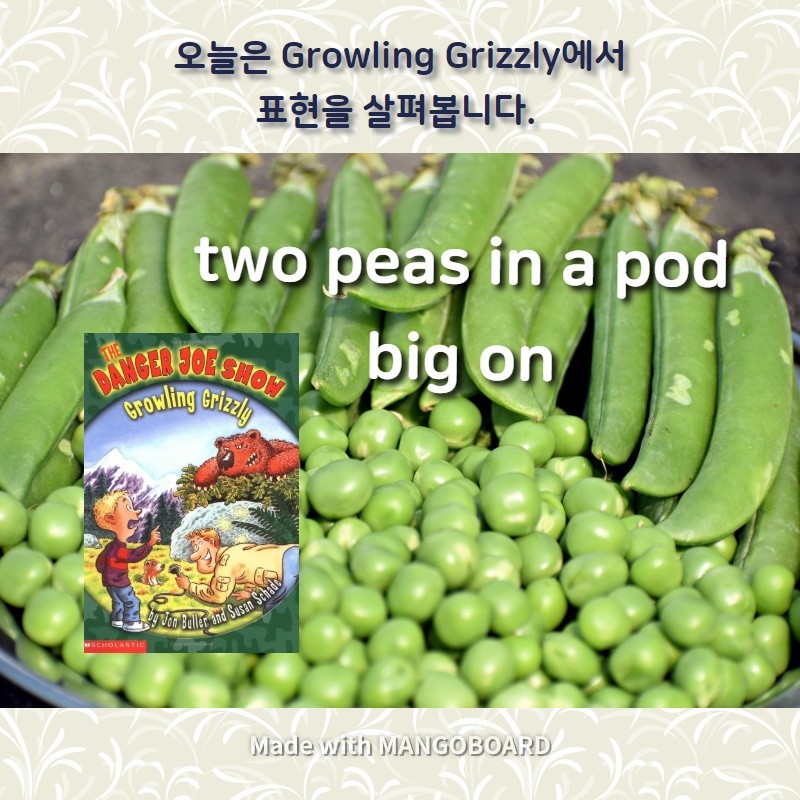 two peas in a pod, big on