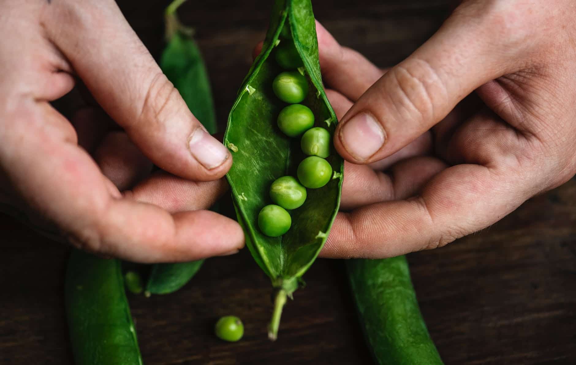 two peas in a pod, big on