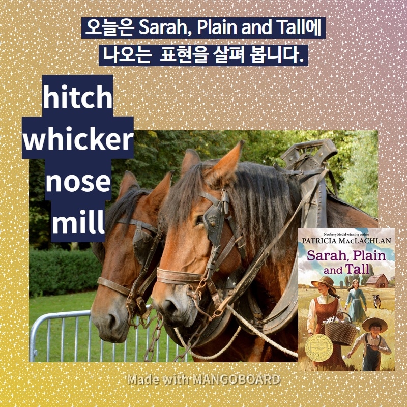 hitch, whicker, nose, mill