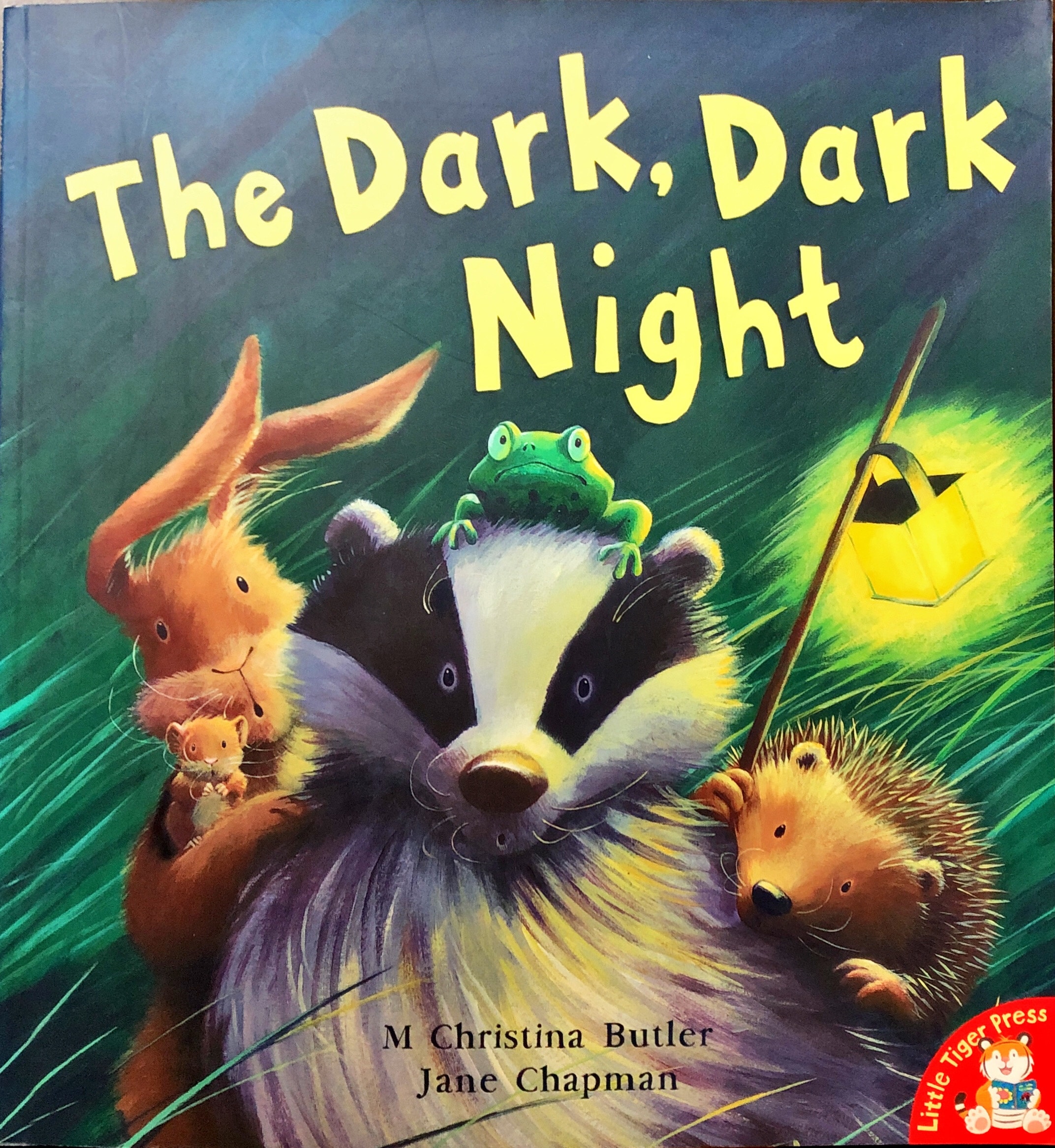 그림책 The Dark Dark Night