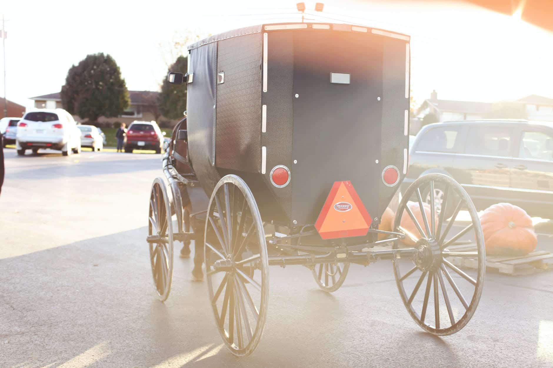 Clara and the Bookwagon
