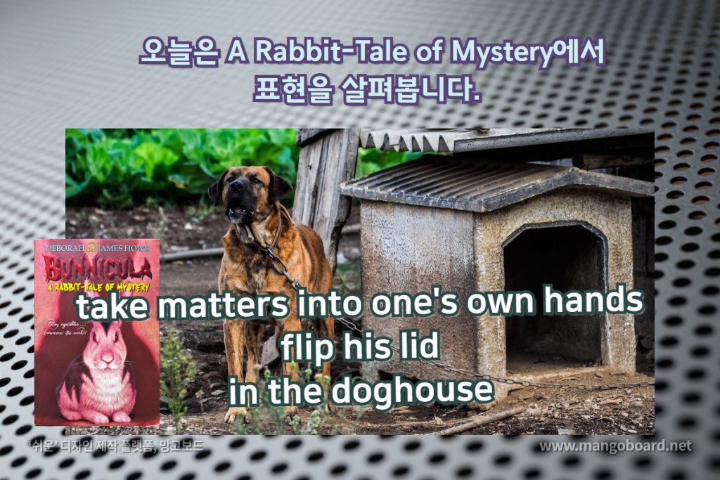 take matters into one's own hands , flip his lid, in the doghouse