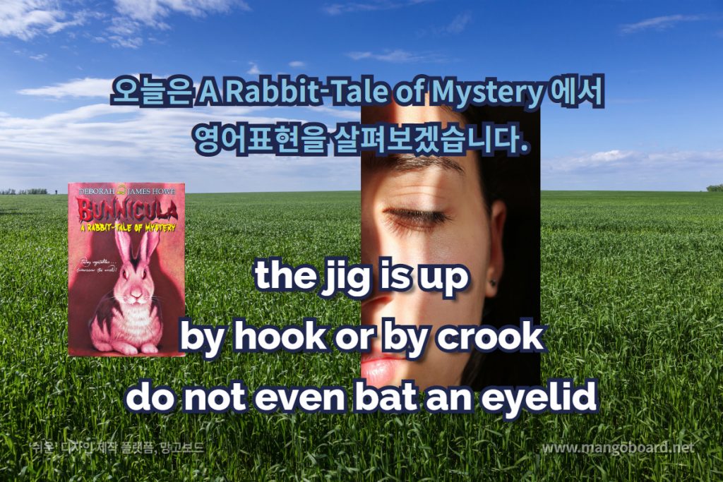 the jig is up, by hook or by crook, do not even bat an eyelid