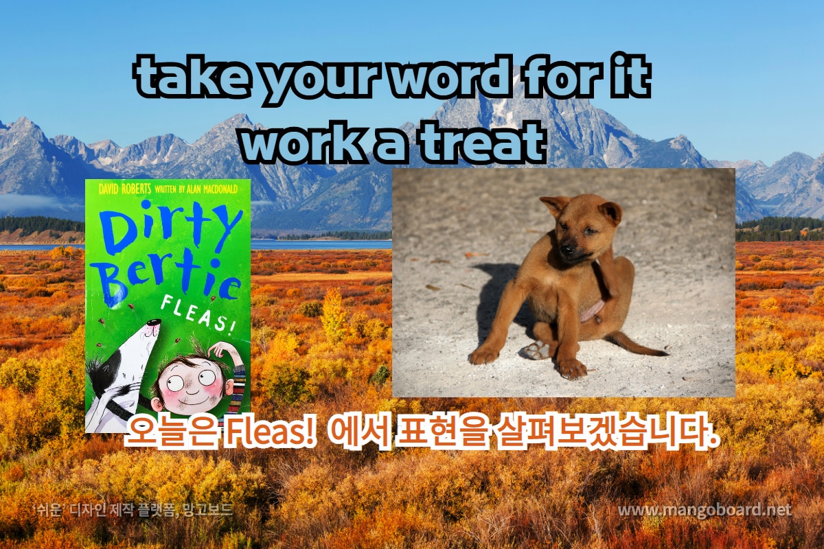 take your word for it, work a treat