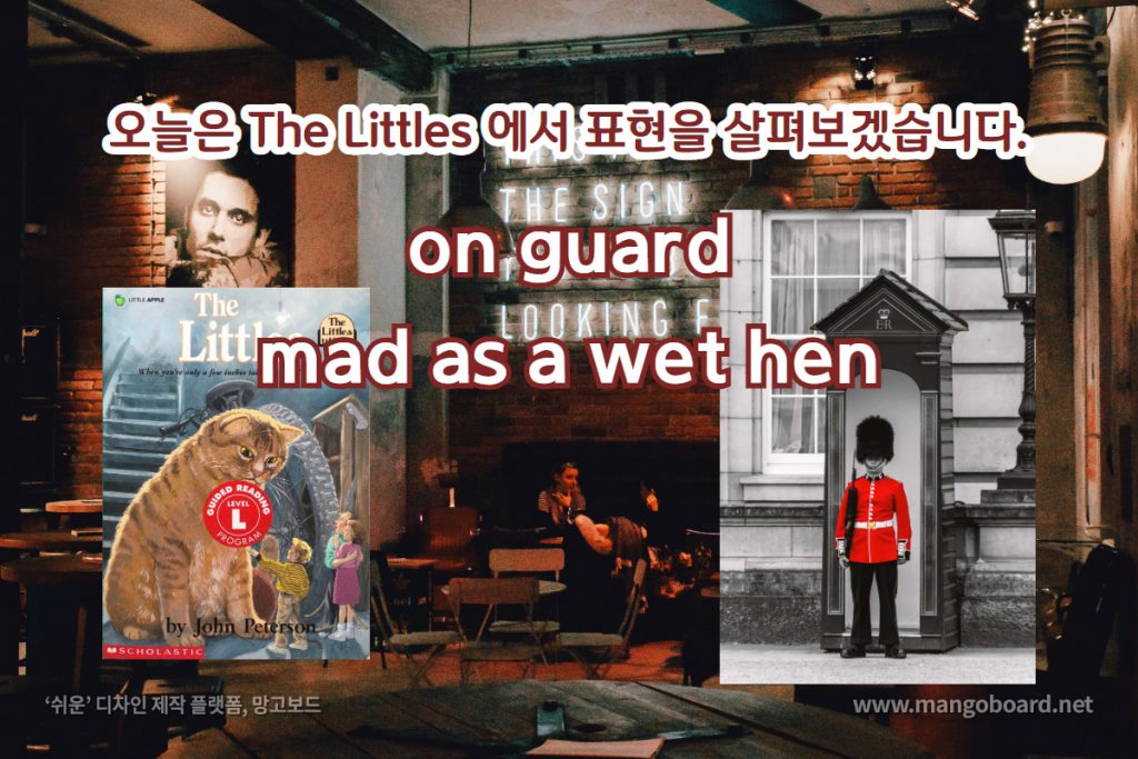 on guard, mad as a wet hen