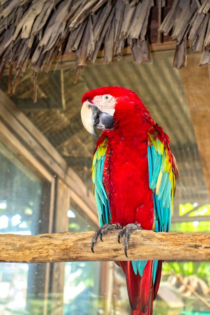 zoo
