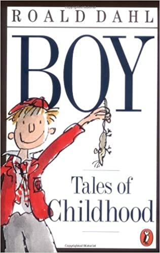Boy: Tales of Childhood