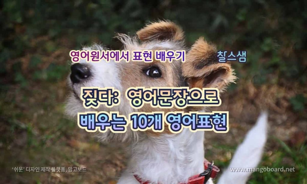 짖다 영어문장으로 배우는 10개 영어표현