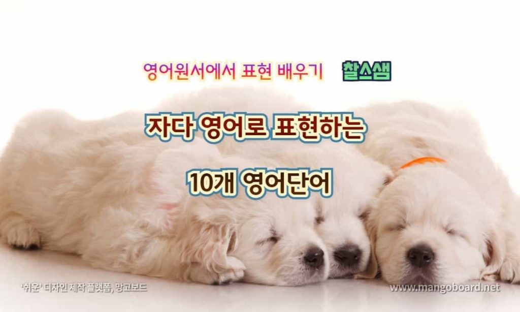 자다 영어로 표현하는 10개 영어단어