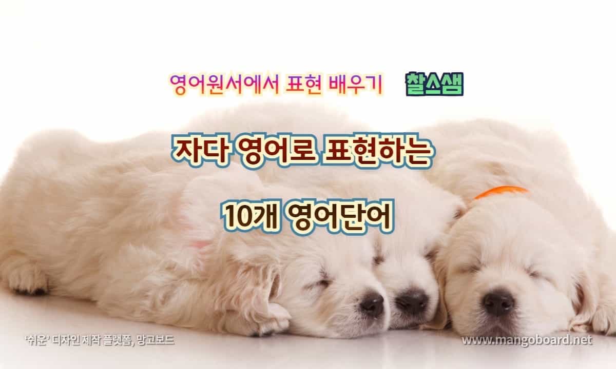 자다 영어로 표현하는 10개 영어단어