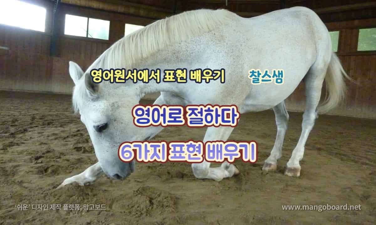 영어로 절하다 6가지 표현 배우기