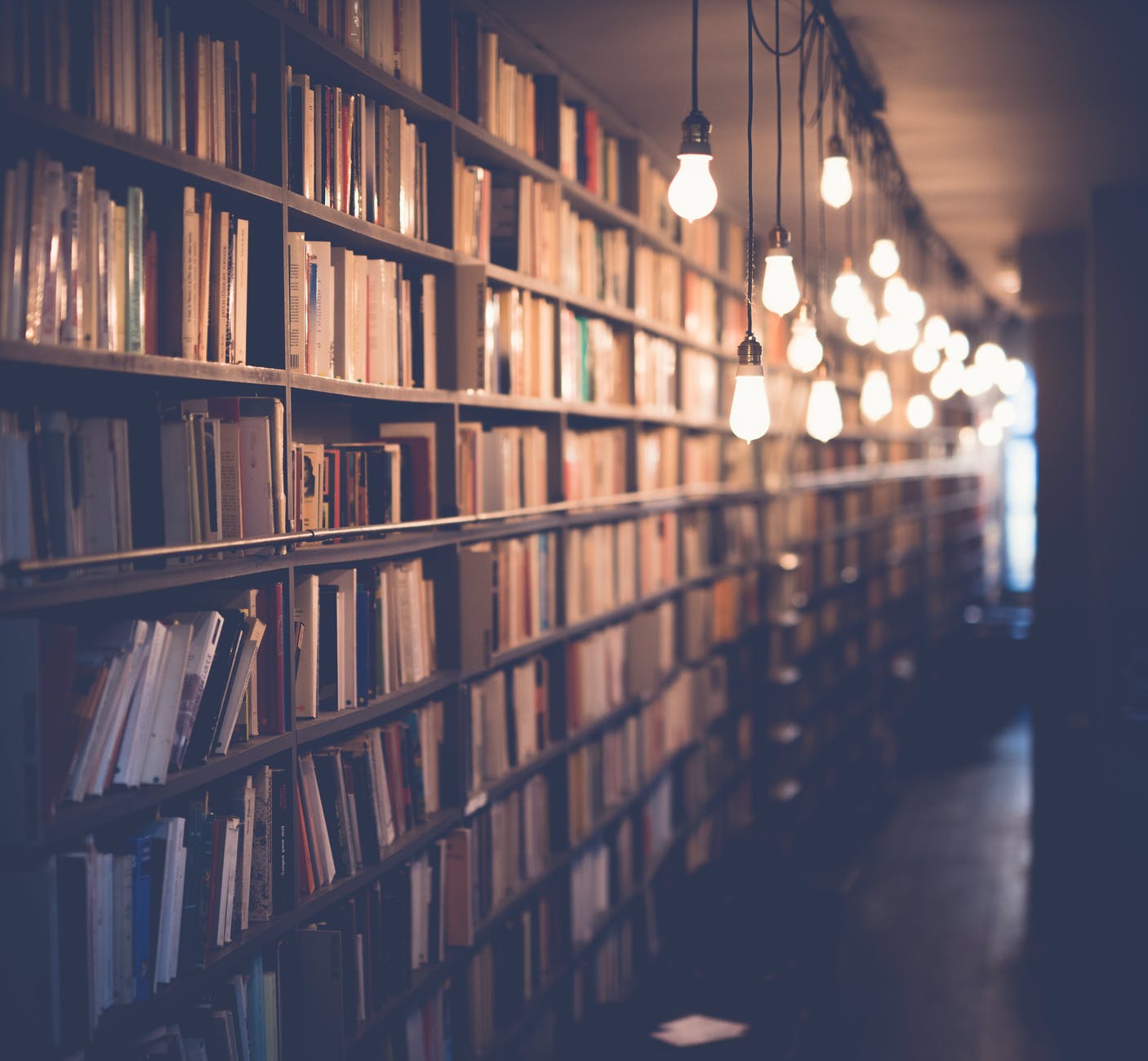 light inside library 미국문화